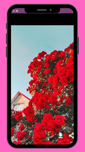 خلفيات ربيعية Screen 2