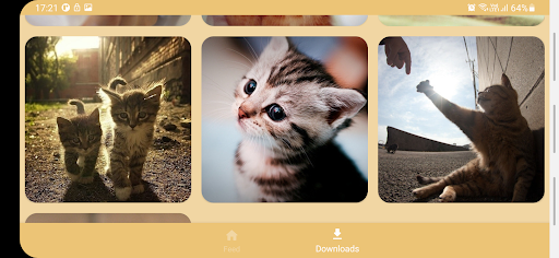 Cats Feed Screen 3