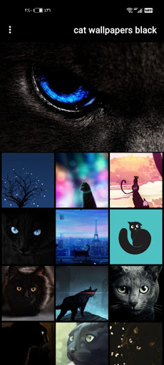 cat wallpapers black