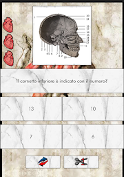 L'Anatomista il quiz Italiano di anatomia