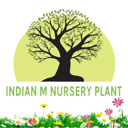Indian M Nursery Plant logo
