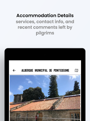 Wise Pilgrim Camino Inglés