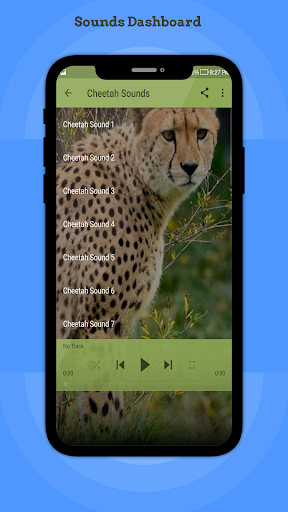Cheetah Sounds Screen 2