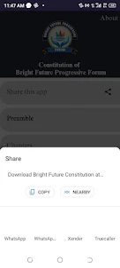 Bright Future Constitution