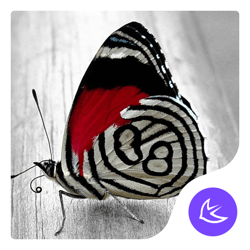 Butterfly dream APUS theme & H 605 Icon