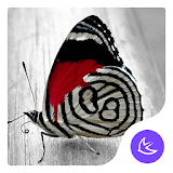 Butterfly dream APUS theme & HD wallpapers icon