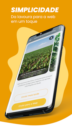 Proagro Perícias Screen 3
