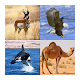 Guess The Animal -  Quiz