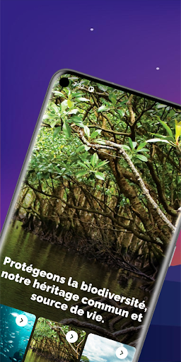 Alerte Biodiversité