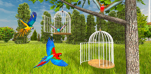 My Parrot Life Simulator Game