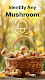 screenshot of Mushroom Identification