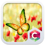 Beautiful Butterfly Theme icon