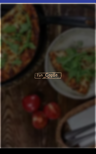 Pan Cogito Screen 2