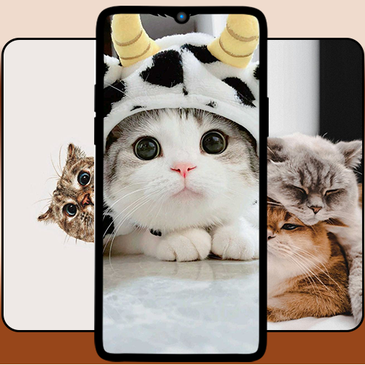 Cat Wallpaper Cute 4k logo