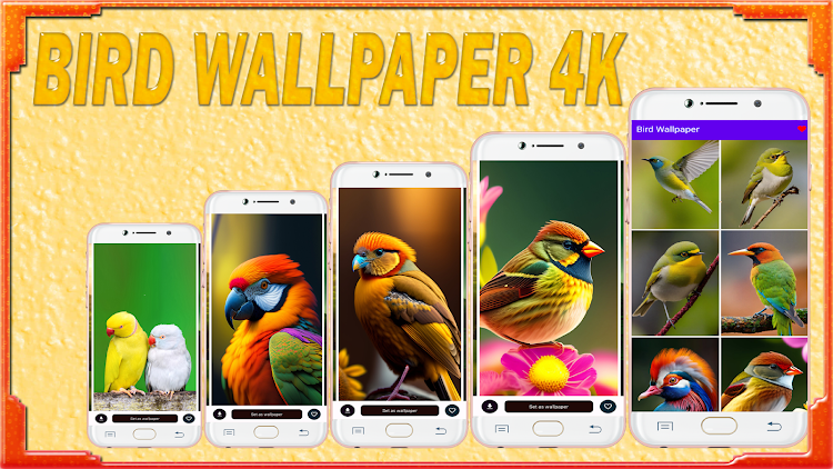 Bird Wallpaper HD - 1.04 - (Android)