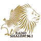 Radio Shalom 96.1 Windows'ta İndir