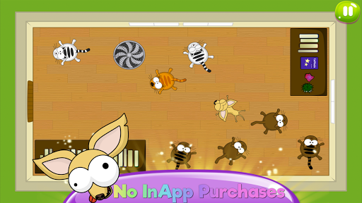Flat Fat Cat Bounce - Special Screen 3