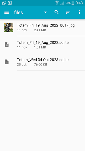 Android application Totem View Sqlite Databases screenshort