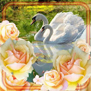 Swans and Lilies Live Wallpaper  Icon