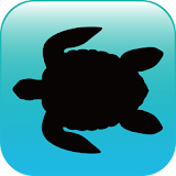 블루래빗바다 - AR icon
