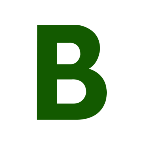 BOHO FINSERV logo
