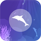 Dolphin VR icon