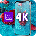 Cover Image of Télécharger Wallpapers 4K  APK