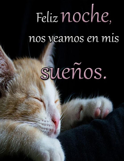 Buenas Noches mi Amor te Amo Screenshot