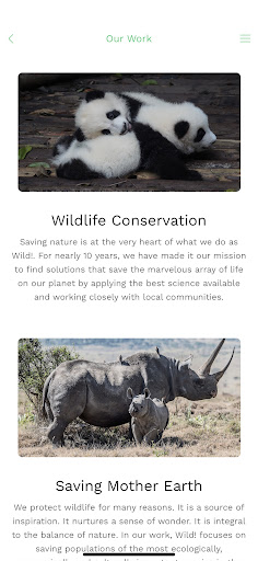Wild! Screen 2