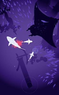 Shoal of fish 3