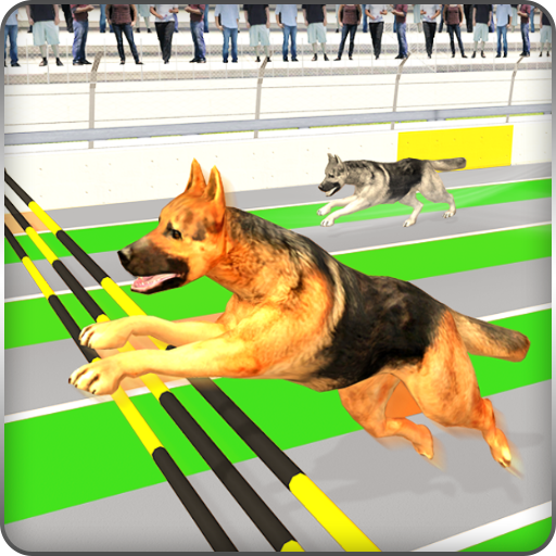 Crazy Dog Racing Fever 🔥 Play online