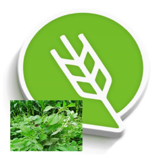 रानभाज्या लागवड #Agrownet™ logo