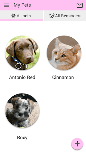 South West Veterinary Care Screen 3