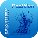 Human Anatomy Position icon