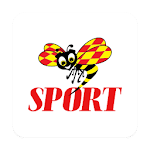 SportExpressen — Allsvenskan, SHL, Fotboll Apk