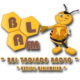 Bal FM icon