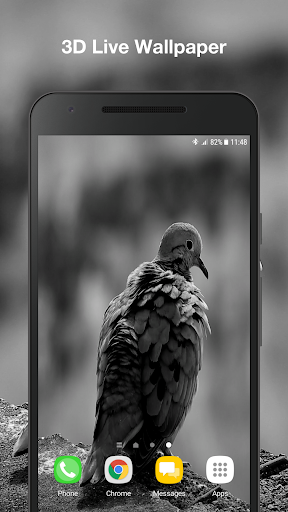 Android application Real Bird Live Wallpaper screenshort