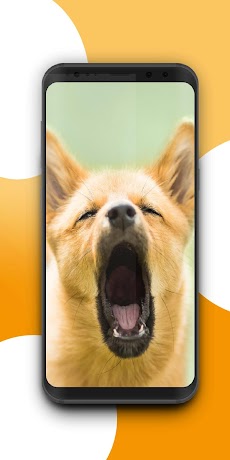 Dogify: Sounds Dogs Loveのおすすめ画像4