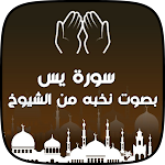 Cover Image of Download سورة يس صوتيه و مكتوبة  APK