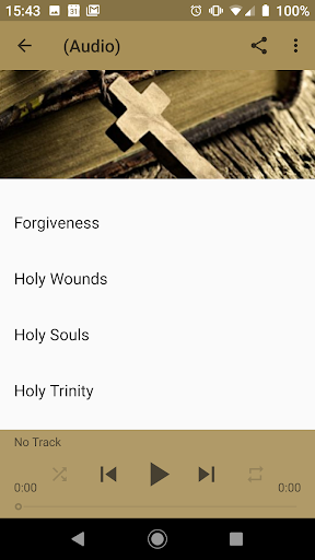 Catholic Chaplets 2019 Screen 3
