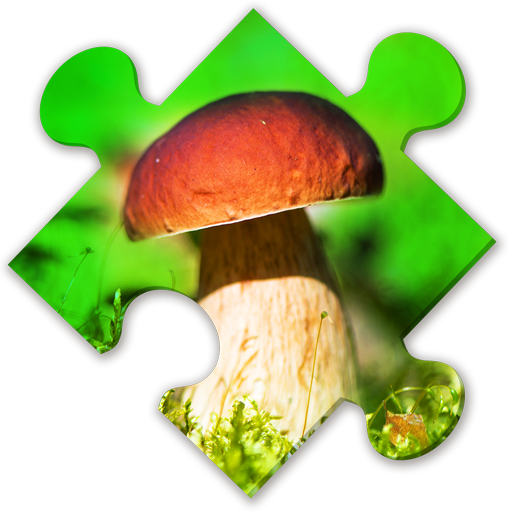 Mushrooms Puzzles:nature jigsa  Icon