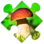 Mushrooms Puzzles:nature jigsaw puzzles for brave