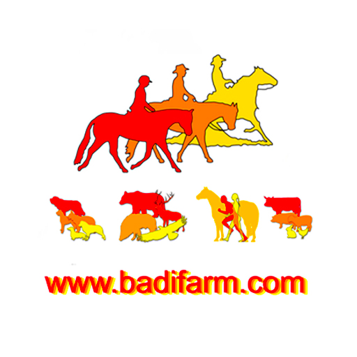 Badi Farm Shop logo