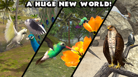 Ultimate Bird Simulator APK (Paid) 5