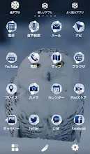 ふくろう壁紙 フクロウフェイス Google Play のアプリ