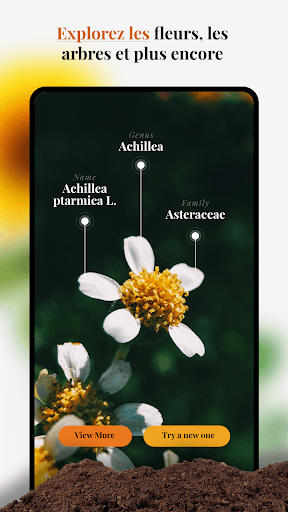 Aperçu de l'application