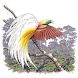 Birds of New Guinea - Androidアプリ