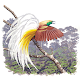 Birds of New Guinea Baixe no Windows