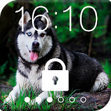 Siberian Husky Dog PIN Lock icon