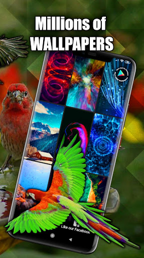 Tropical Birds Wallpaper Live Screen 3